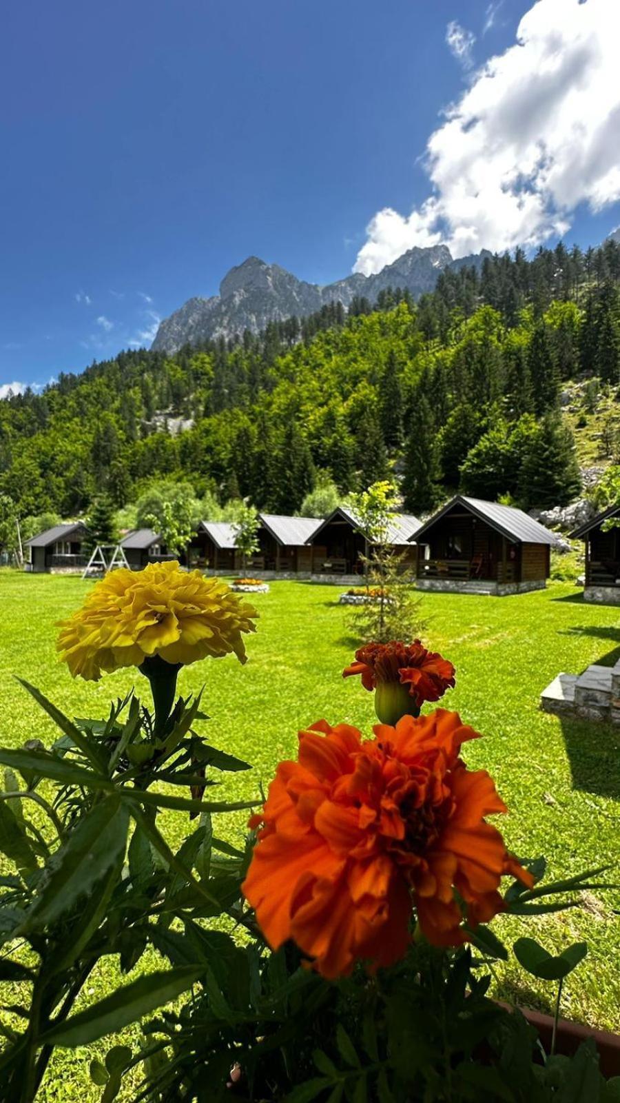 Hotel Tradita Valbone Dış mekan fotoğraf